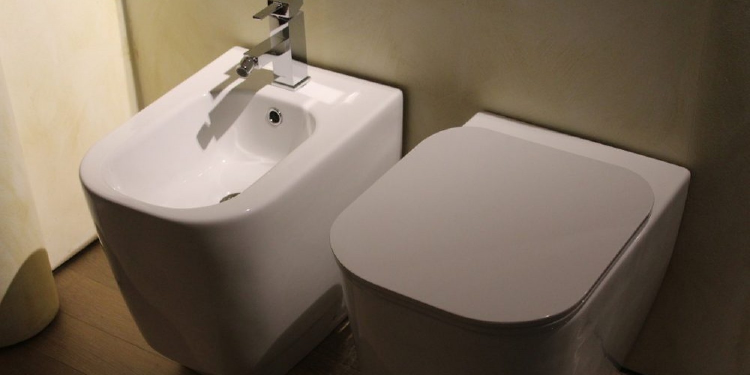 Fresh from your expert plumber in Peckham – The history of the bidet
